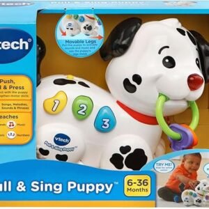 VTech Pull and Sing Puppy